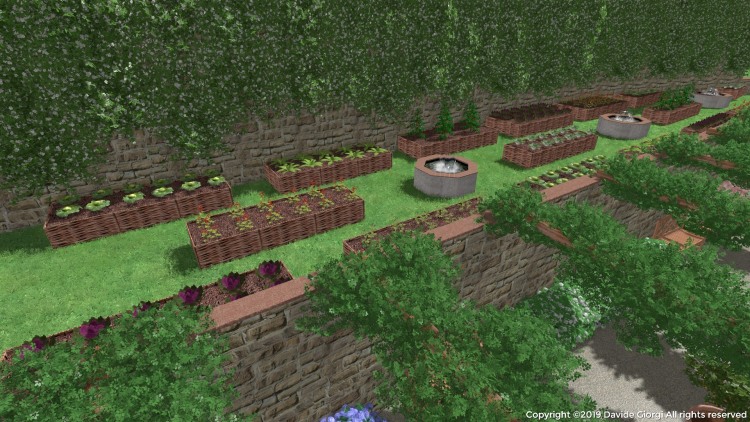 Come realizzare un orto nel giardino di casa