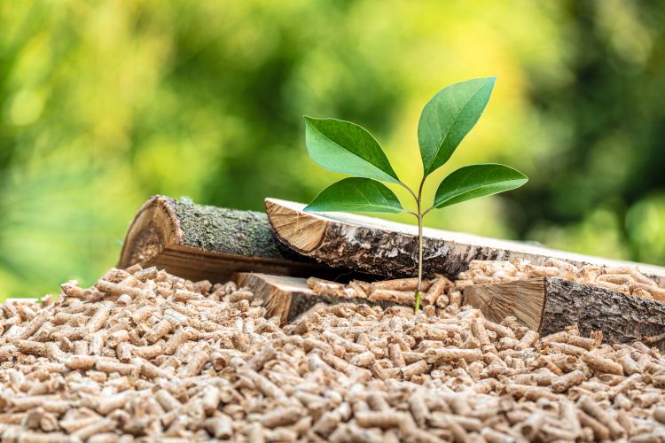 L'energia da biomassa è pulita, rinnovabile e vantaggiosa