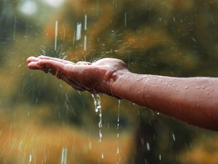 Raccolta acqua piovana: come funziona e cosa c’è da sapere