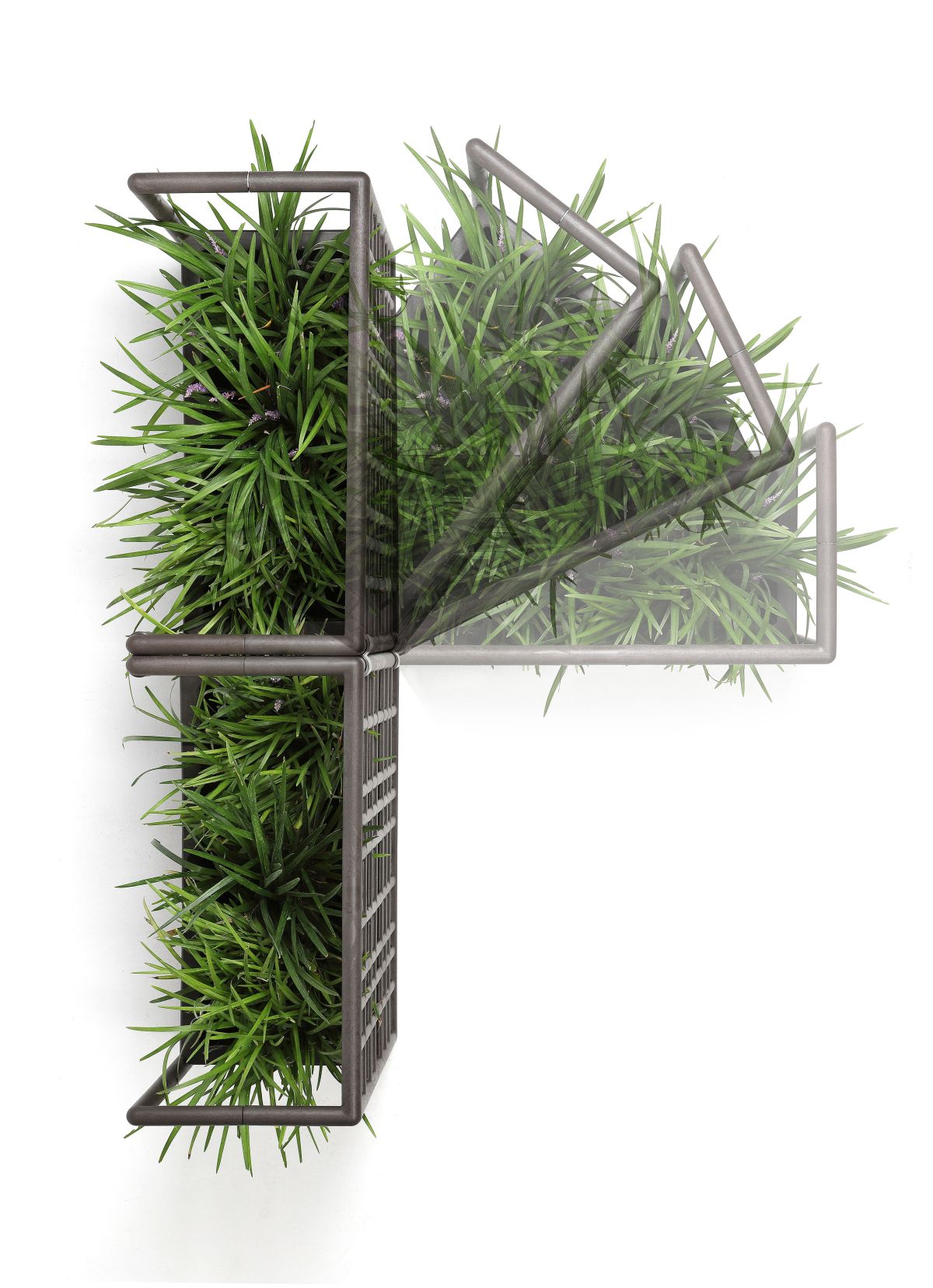 Piccoli e grandi sistemi di arredo e pareti verticali a verde stabilizzato