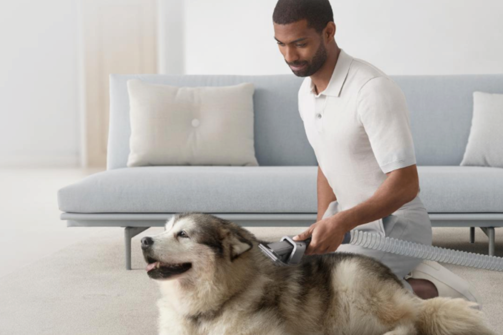 Guanti Toelettatura Cooljob - Per Cani E Gatti, Con Rete, Lavabili E Riutilizzabili - Foto 8