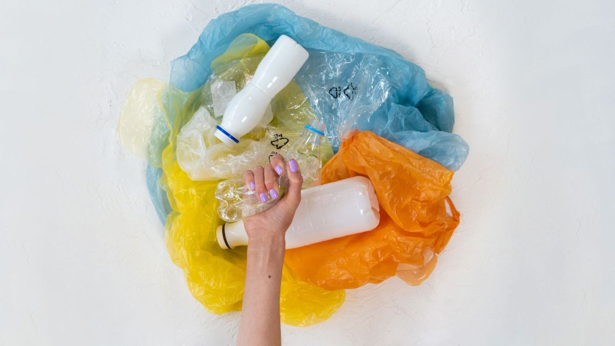 La Giornata Mondiale Senza Sacchetti di Plastica