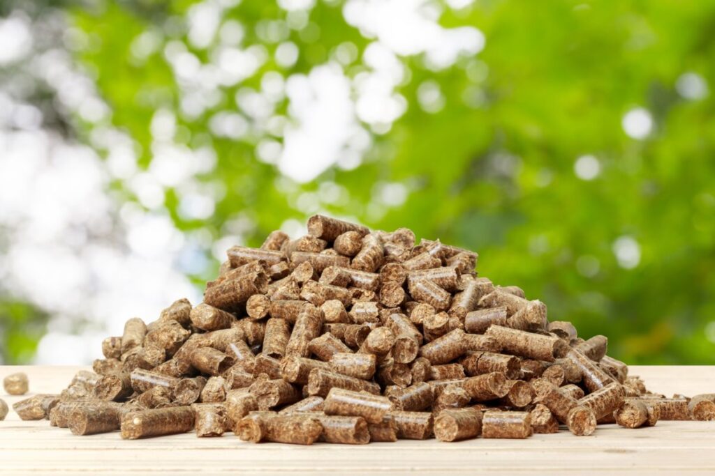 La biomassa per il riscaldamento domestico: risponde Anna Maggi di Edilkamin
