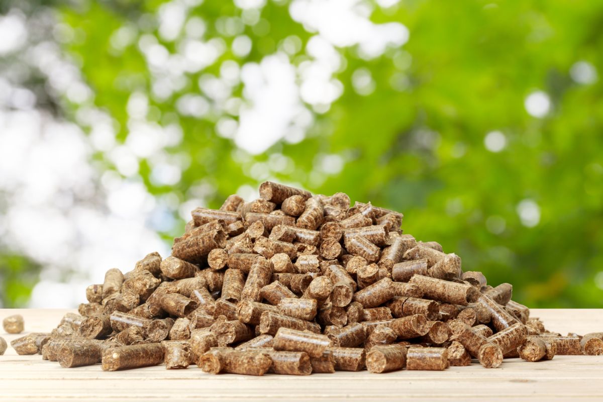 La biomassa per il riscaldamento domestico risponde Anna Maggi di Edilkamin