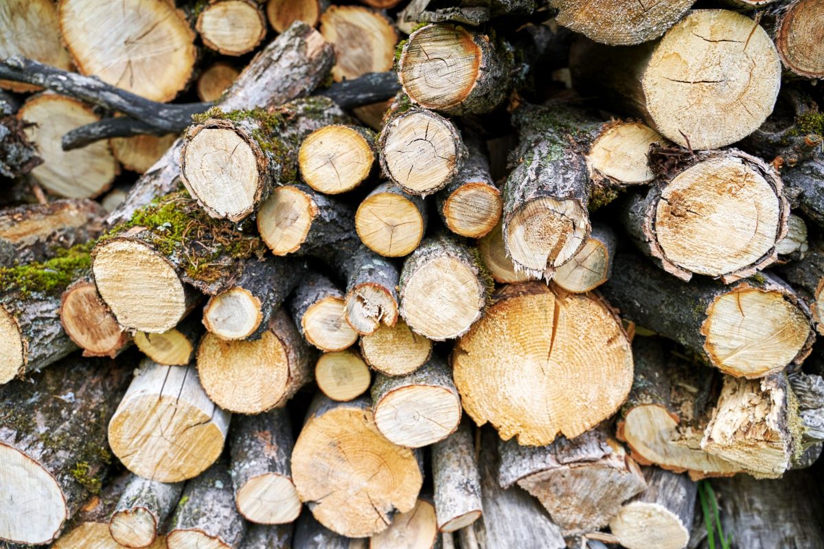 Le biomasse per il riscaldamento domestico risponde Anna Maggi di Edilkamin