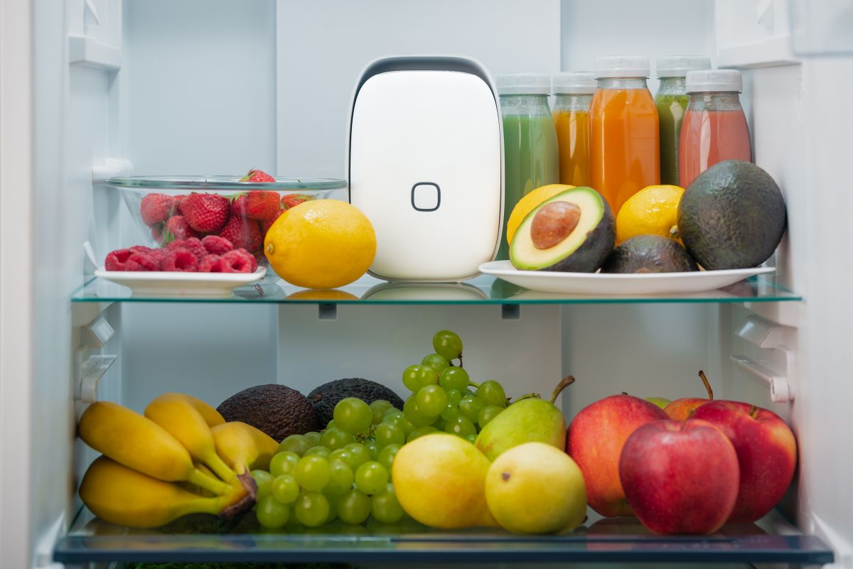 Shelfy di Vitesy: il purificatore smart che prolunga la freschezza degli alimenti