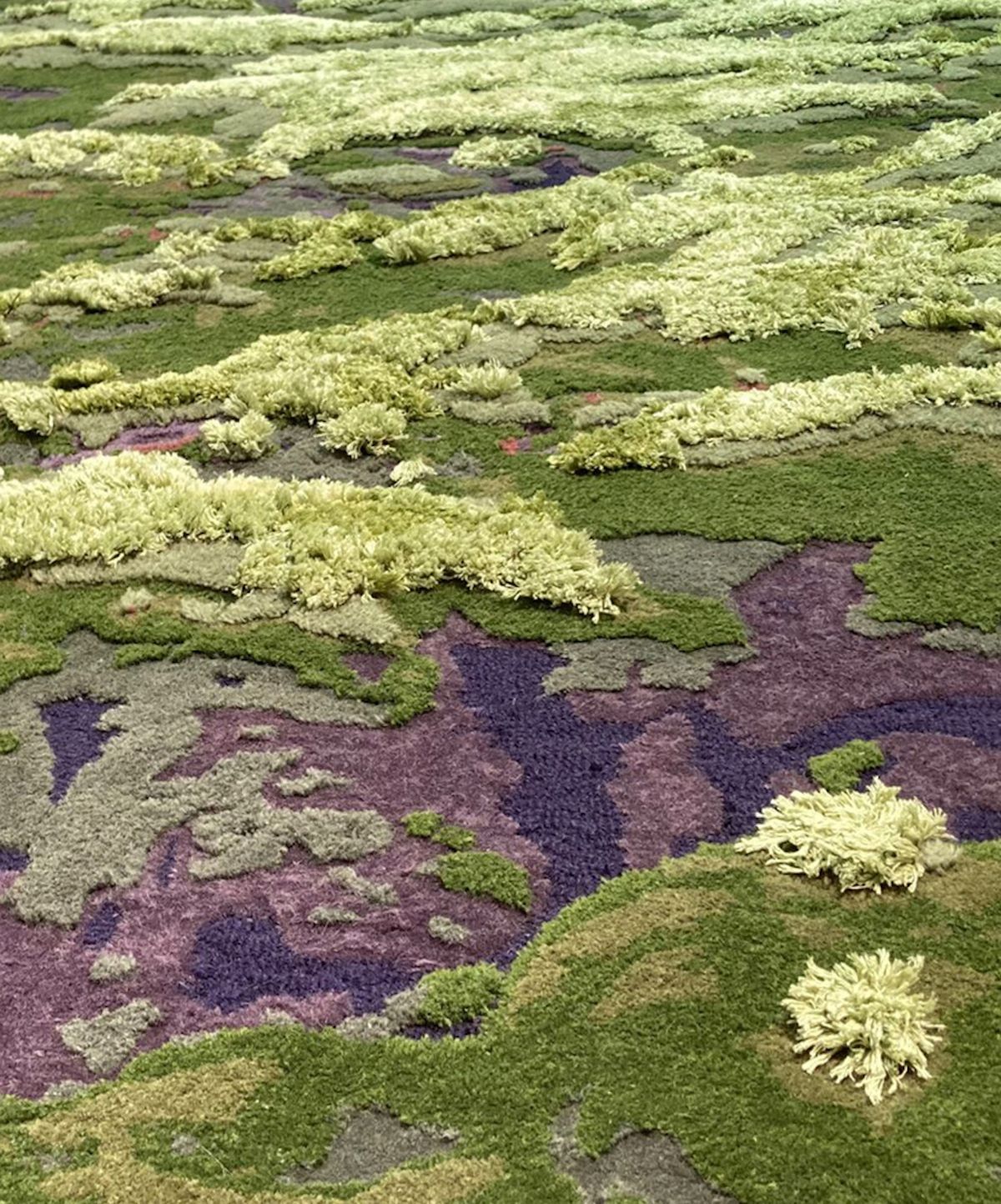 Tapis Rouge - Mysterious Moss
