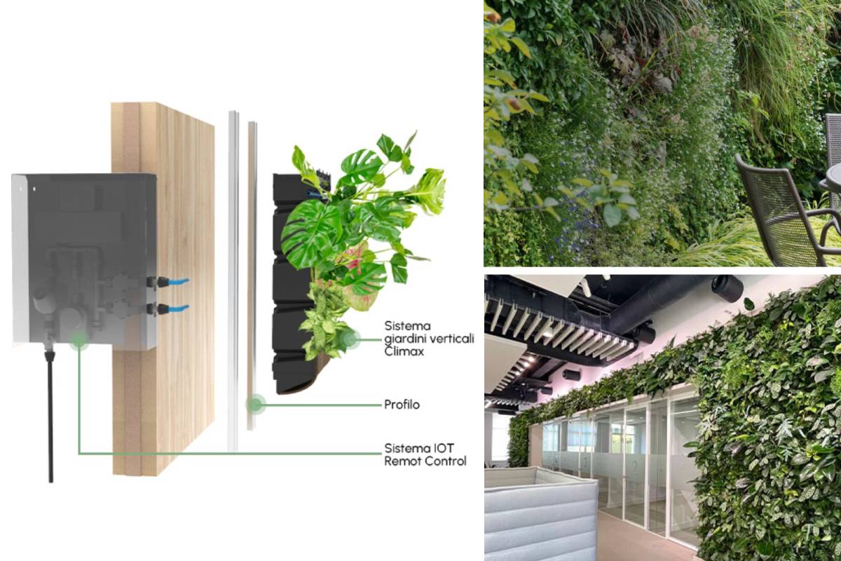 Giardini verticali di Climax, un rivestimento vivente, adattabile a varie superfici 