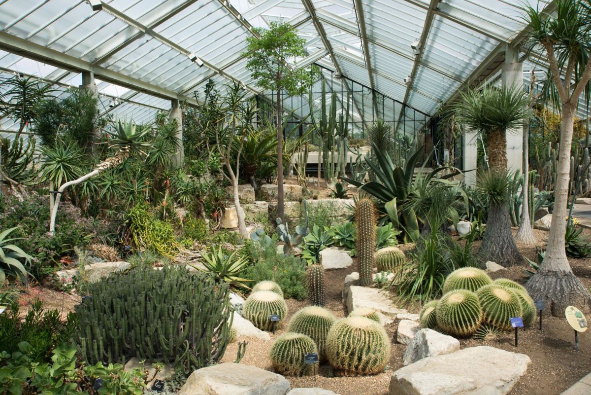Il Kew Gardens di Londra