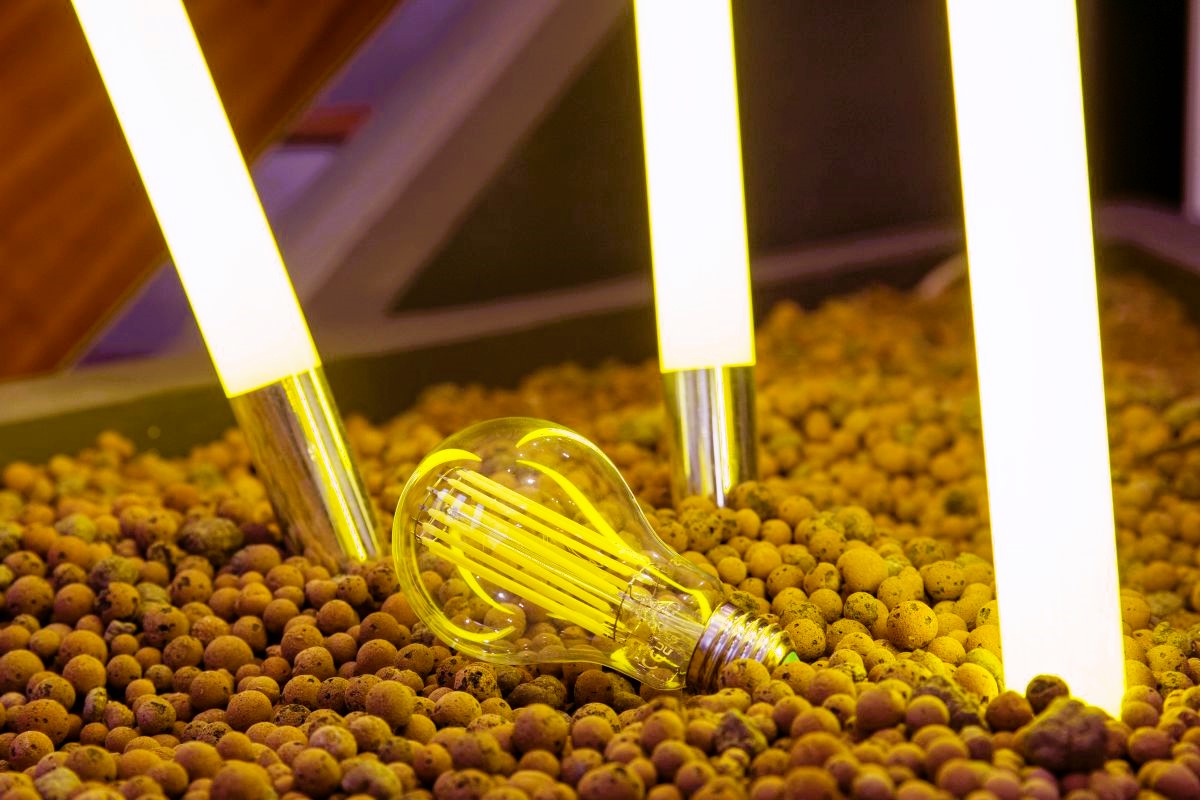 Lampadine LED e nuova etichettatura un passo avanti per l'ambiente