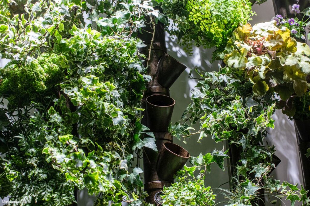 Orti verticali e giardini indoor: tutti i benefici del verde negli spazi domestici