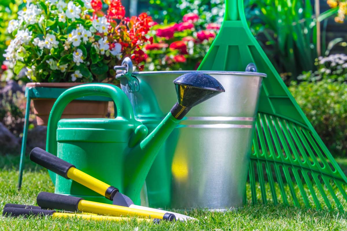 Non solo pulizia: come gestire lo spazio nel tuo giardino