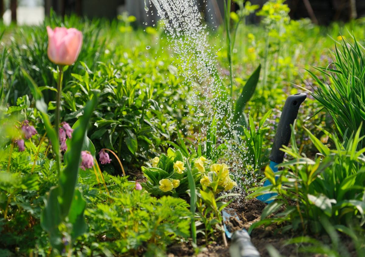 Giardinaggio: fertilizzazione e irrigazione automatica per il giardinaggio "fai da te"