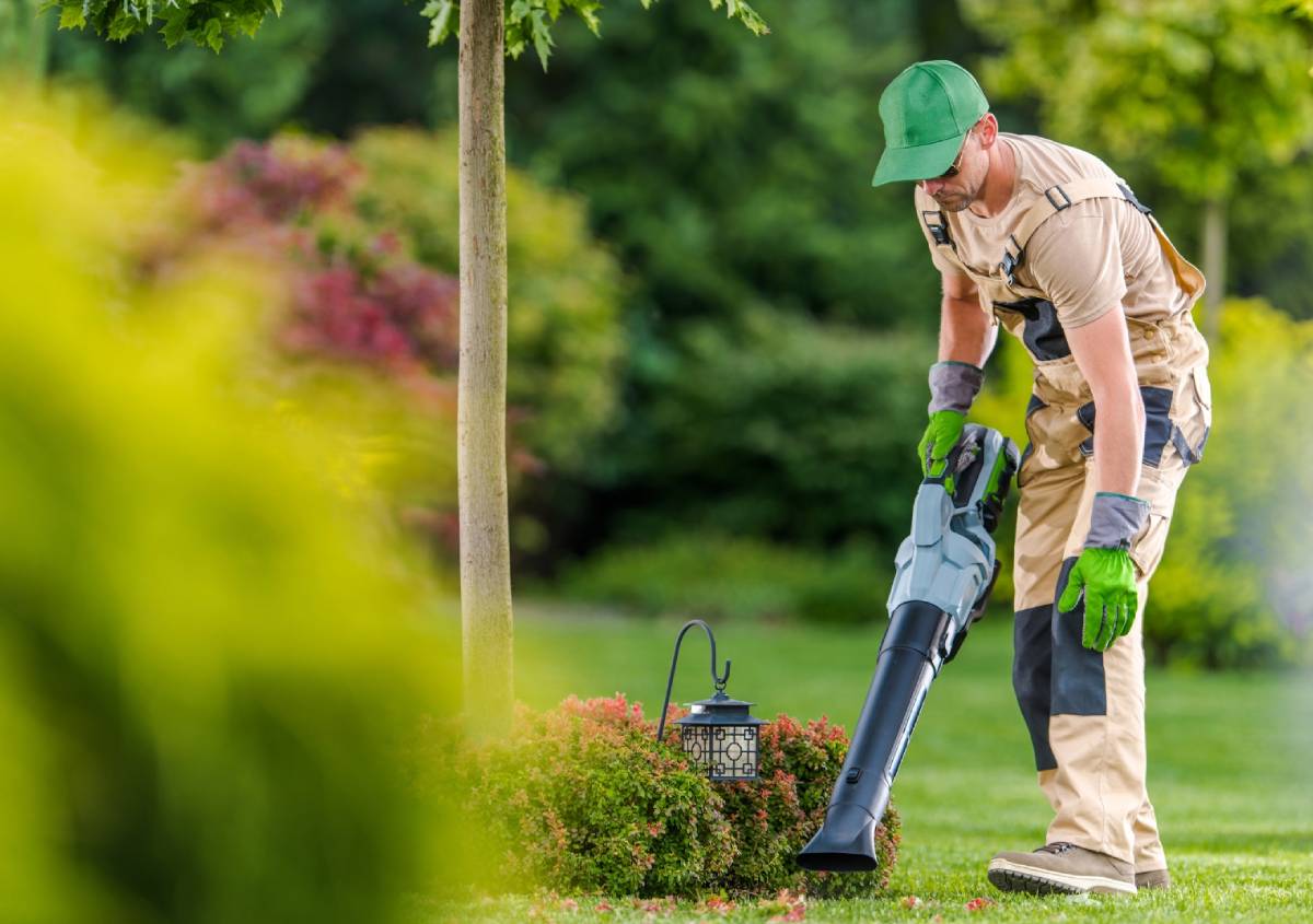 Prenditi cura del giardino