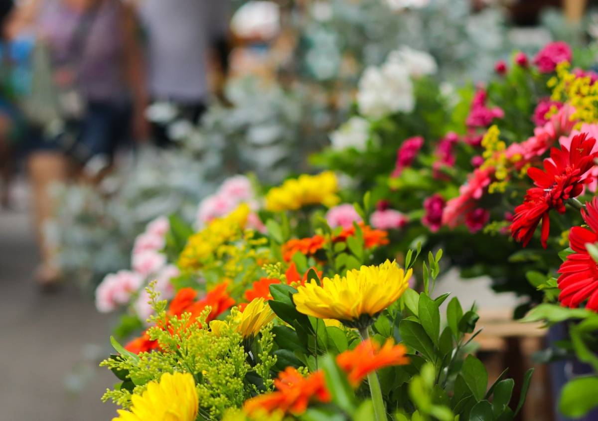 Piante e fiori: 10 fiere sul verde e sul paesaggio da non perdere