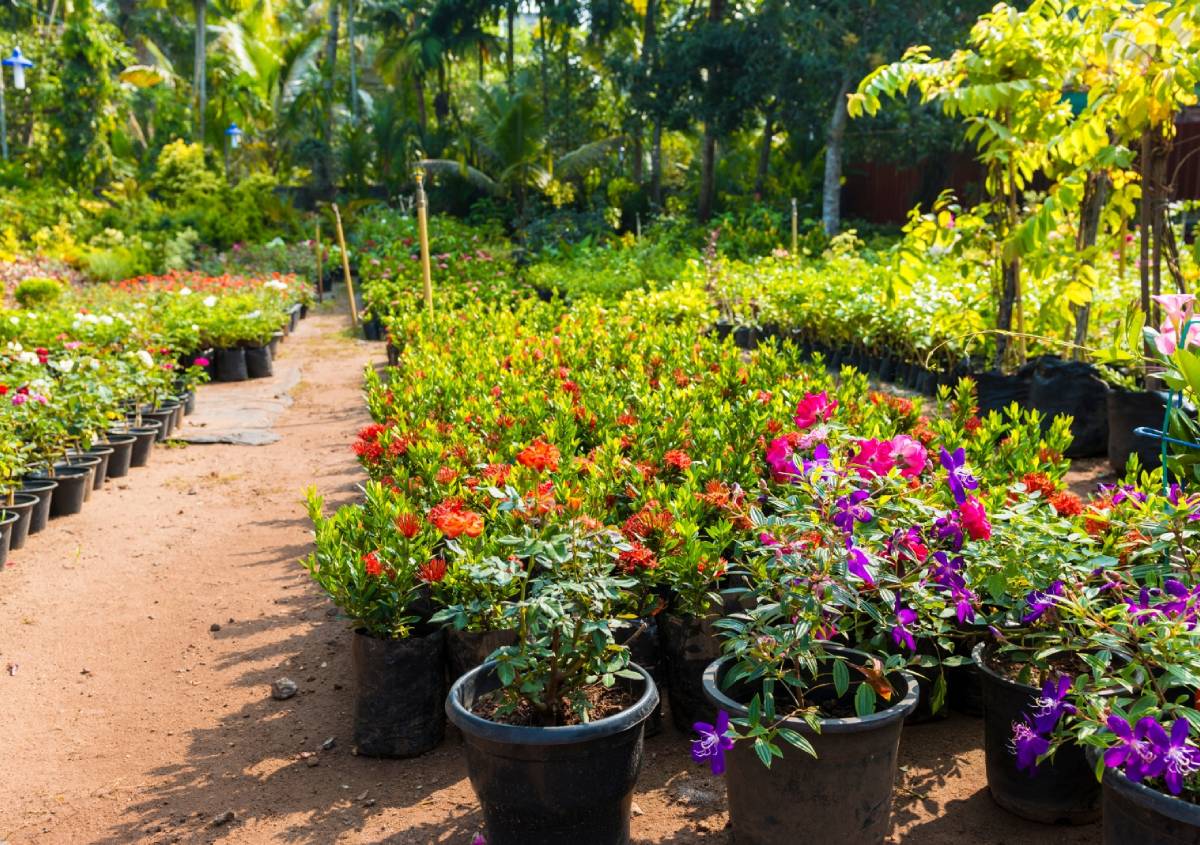 Piante e fiori: 10 fiere sul verde e sul paesaggio da non perdere