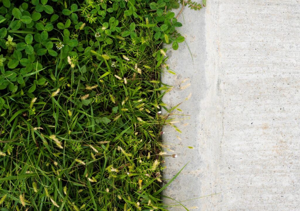 Giardini verticali: cosa sono, come si realizzano in casa, con quali benefici e costi