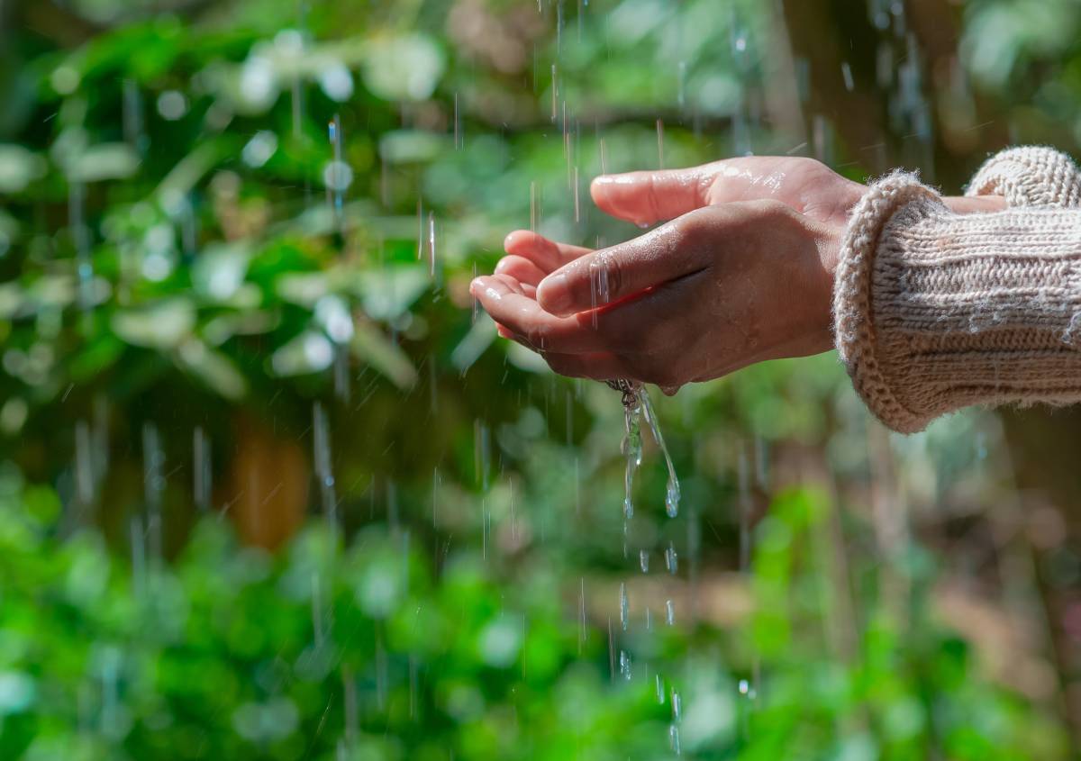 Recupero acqua piovana le giuste informazioni per non sbagliare investimento