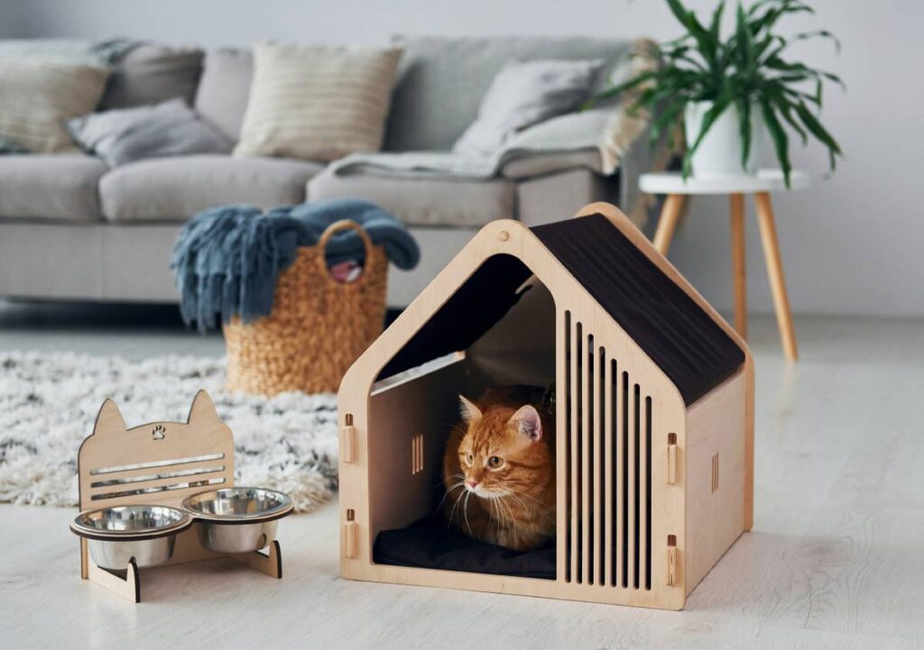 Vivere con animali domestici: le abitudini eco-friendly da adottare