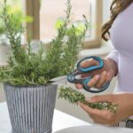 Gardena: gli strumenti intelligenti per la cura dell’orto e del giardino di casa