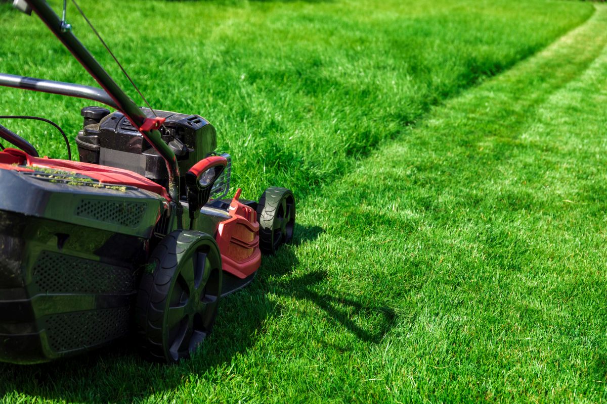 Preparare il giardino alla primavera