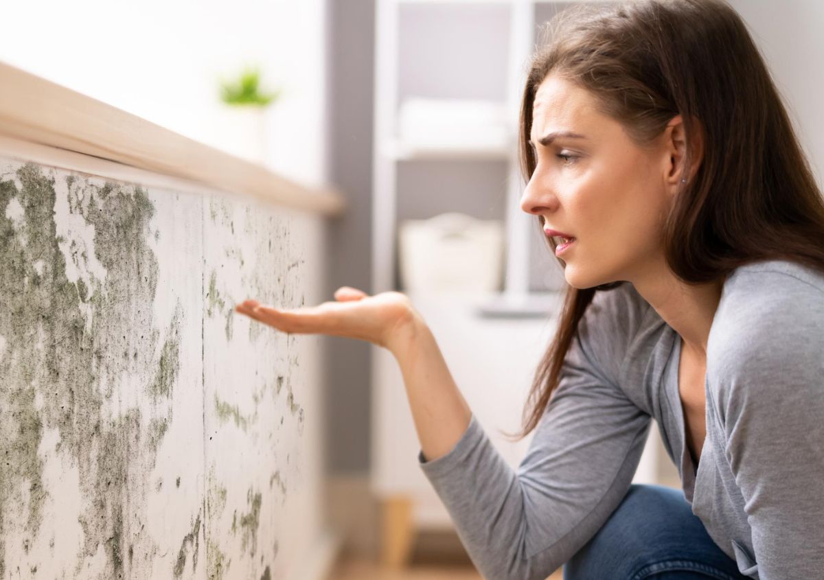 Come eliminare l’umidità in casa: accorgimenti utili per risolvere il problema