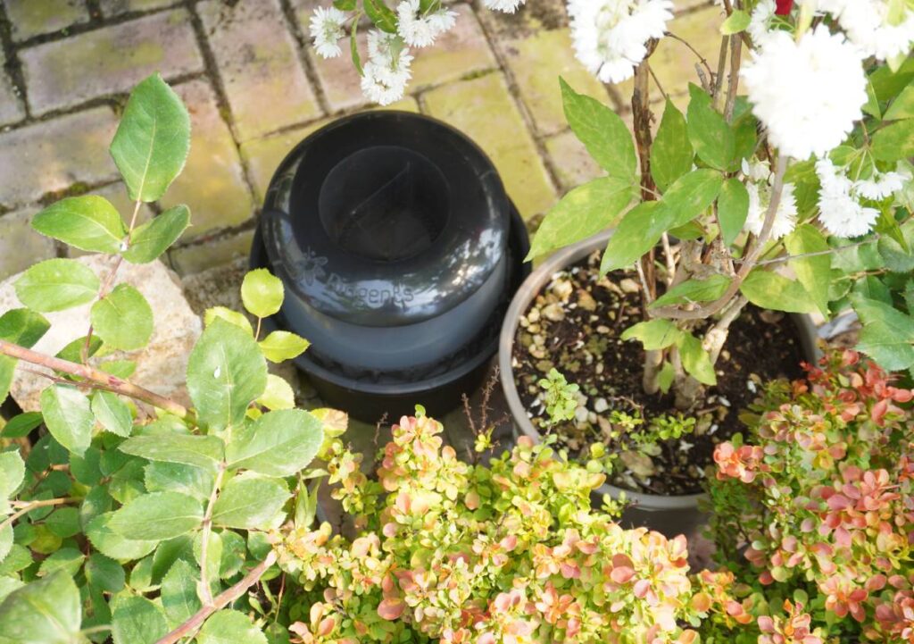Zanzare: come difendere casa e giardino in modo naturale ed efficace