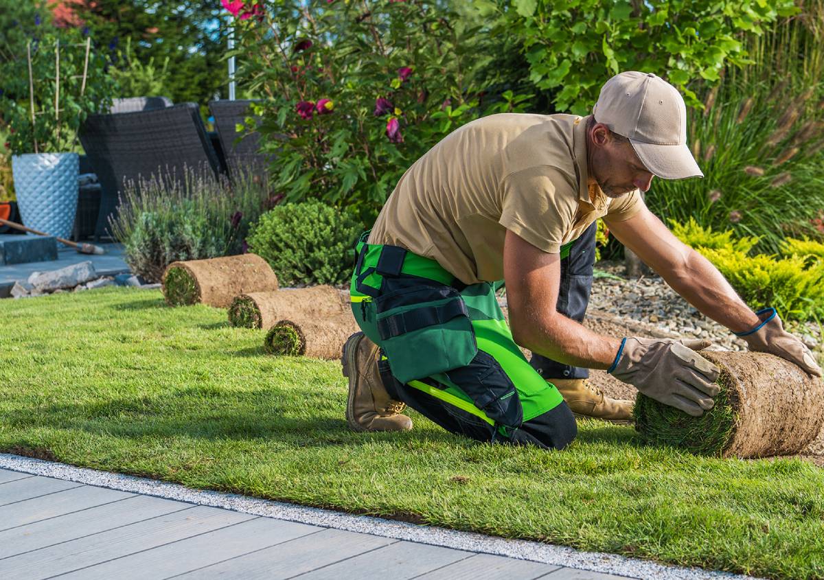 Come cambia il verde domestico marzo è il nuovo luglio
