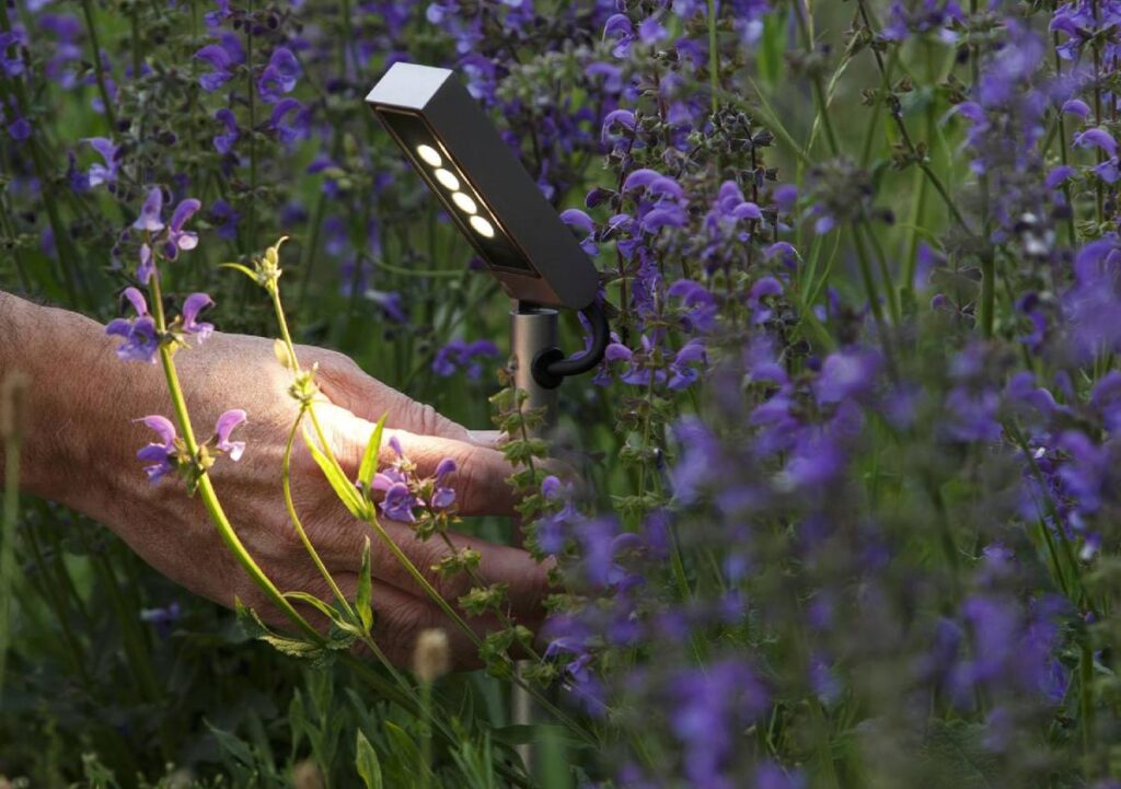 Come progettare l’illuminazione esterna perfetta per giardini, terrazzi e balconi