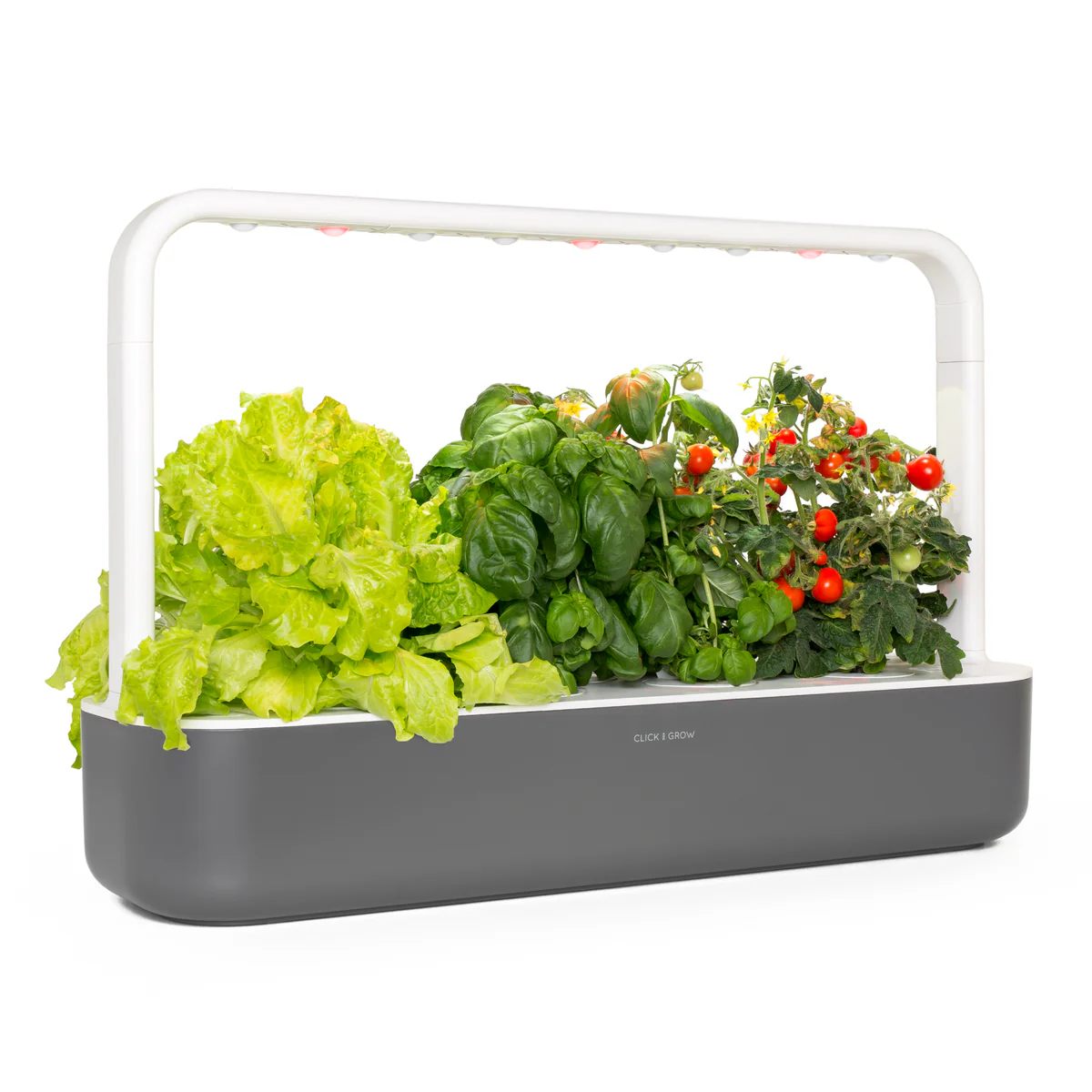 Verde smart, giardinaggio connesso anche su un balcone
