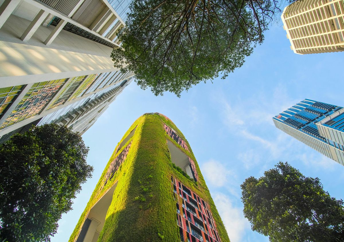 Architettura e vegetazione mitigano il caldo in città