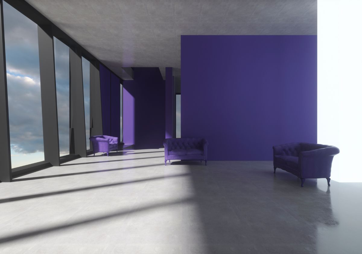 Viola
