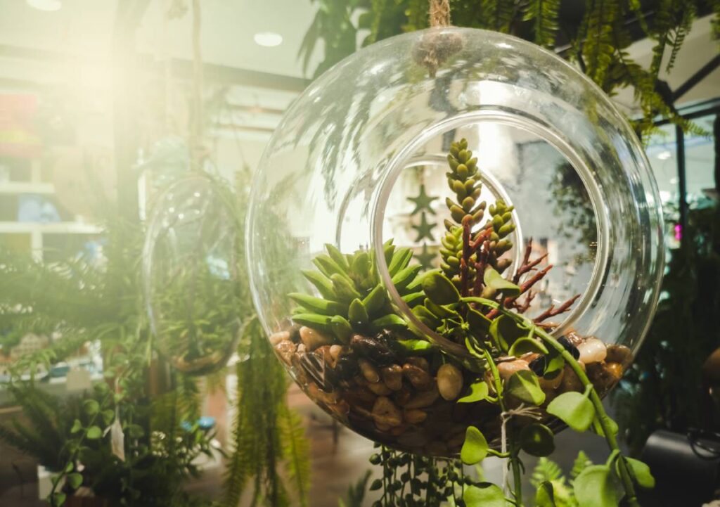Design biofilico e luce naturale: il segreto per una casa sostenibile, innovativa e rigenerante