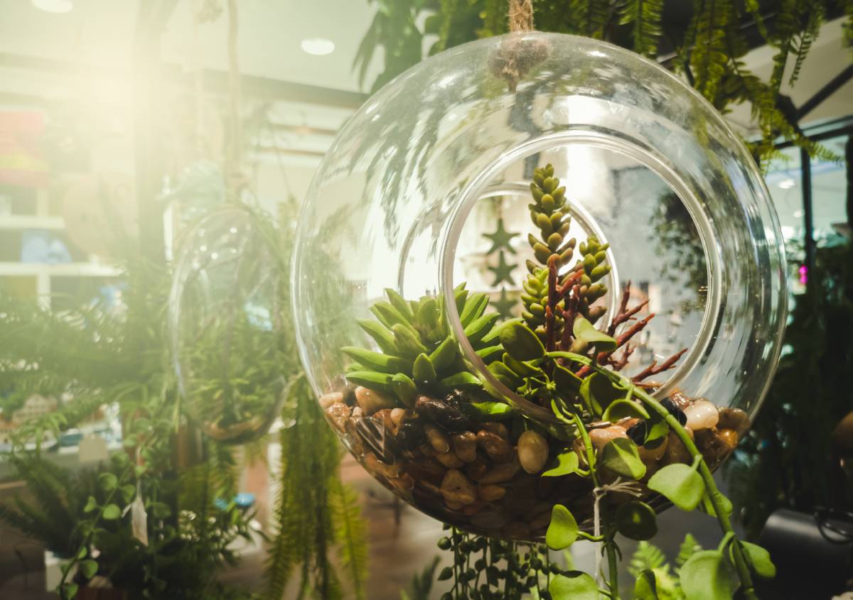 Design biofilico e luce naturale il segreto per una casa sostenibile, innovativa e rigenerante