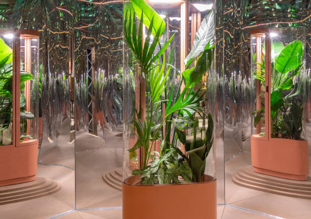Fabbrica dell’Aria 2.0: la natura che purifica le nostre case