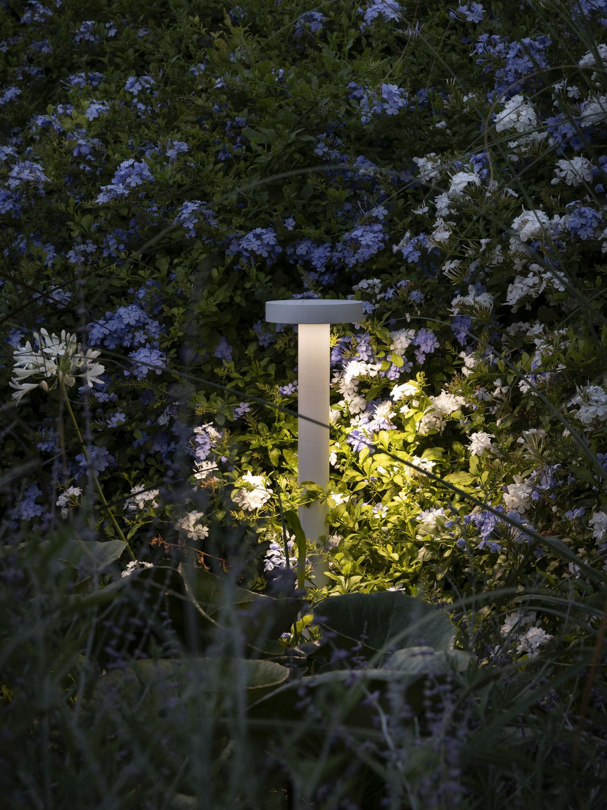 The Rambunctious Garden