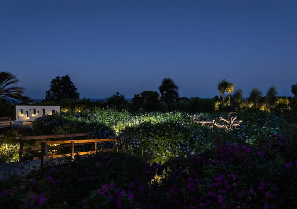 Quando la luce rispetta la natura. Luce&Light illumina cinque giardini del Radicepura Garden Festival 2025