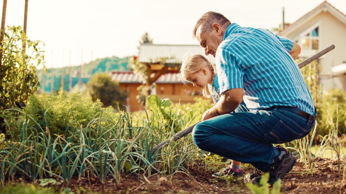 Ungardening Ungardening