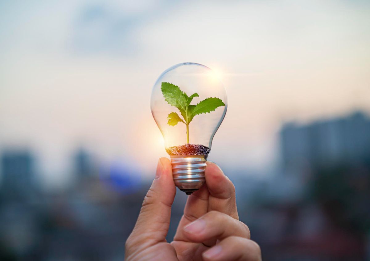 1. Lampadine LED ad alta efficienza e sistemi di smart lighting 1. Lampadine LED ad alta efficienza e sistemi di smart lighting