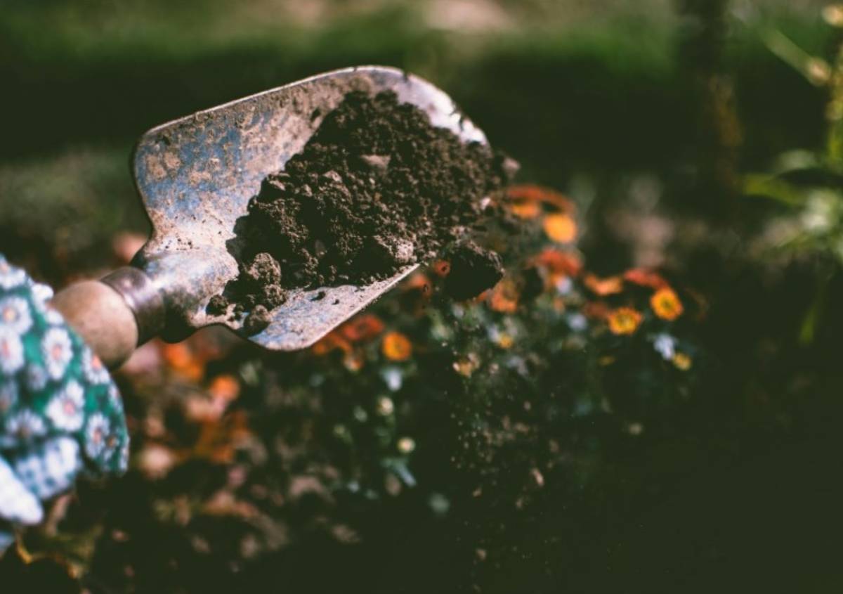 Tendenze casa 2026 tra design autentico, natura e tecnologia smart Tendenze casa 2026 tra design autentico, natura e tecnologia smart