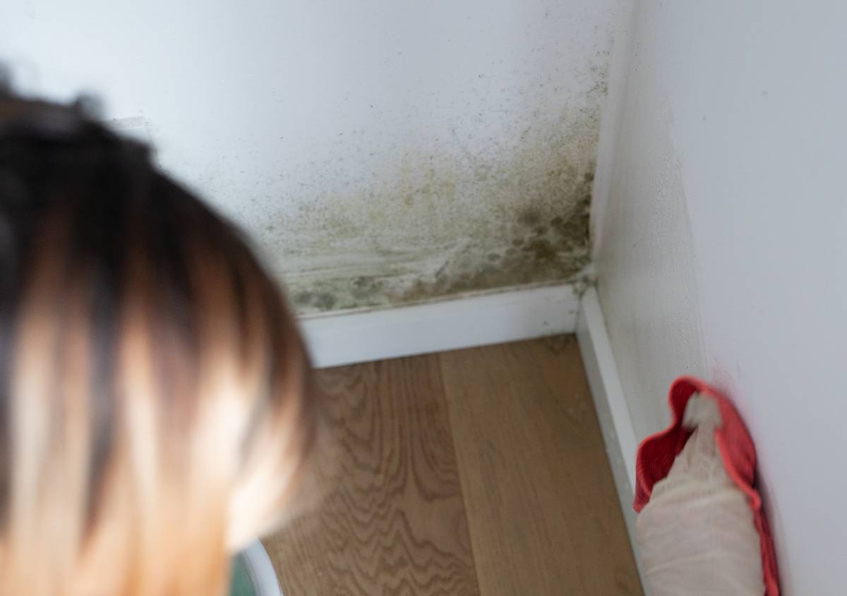 Muffa in casa dopo la ristrutturazione da cosa è causata, come trattarla e rischi per la salute Muffa in casa dopo la ristrutturazione da cosa è causata, come trattarla e rischi per la salute