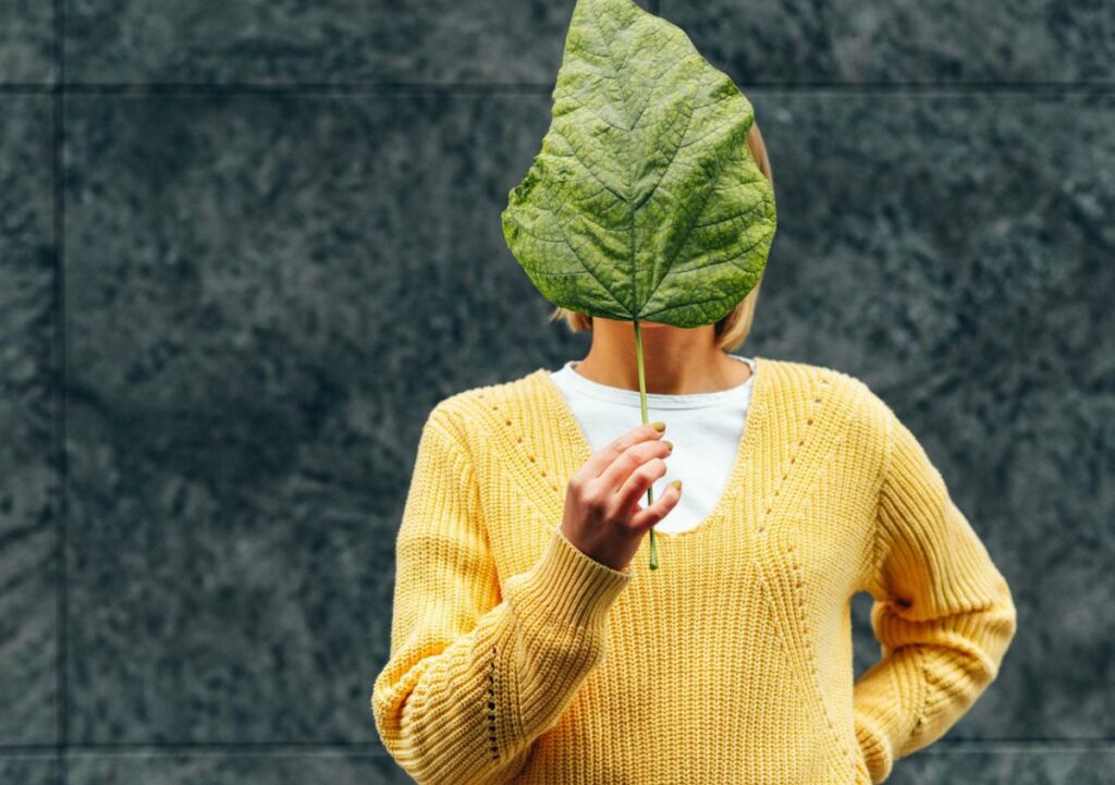 Perché la sostenibilità conviene economicamente