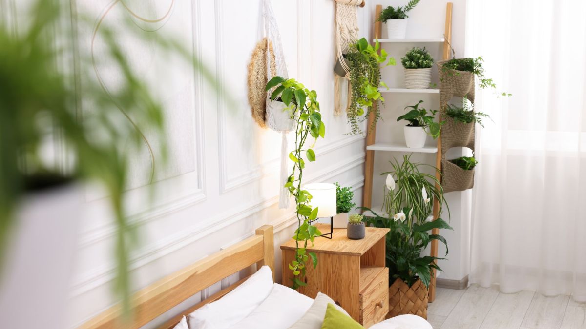 Crea uno spazio nuovo per le tue passioni Crea uno spazio nuovo per le tue passioni