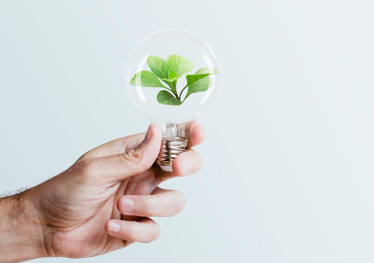 Strategie per ridurre i consumi energetici intervenendo su casa e impianti Strategie per ridurre i consumi energetici intervenendo su casa e impianti