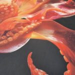 Stampa digitale a sublimazione su tessuti: il servizio custom di Dino Zoli Textile
