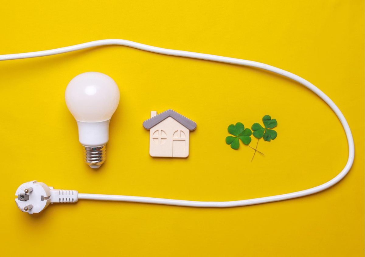 L’elettrificazione dei consumi domestici: case senza gas L’elettrificazione dei consumi domestici: case senza gas