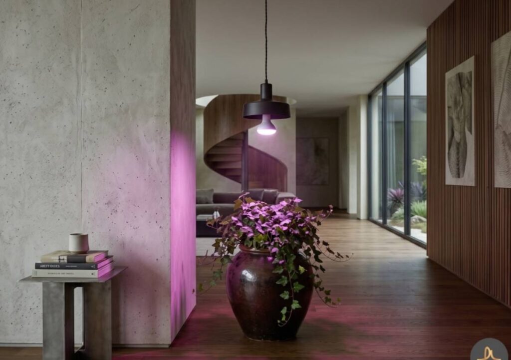 Design e botanica: quando la luce incontra le piante