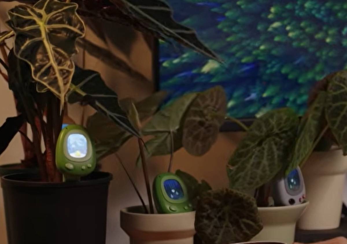 Dalla cura delle piante alla smart home Dalla cura delle piante alla smart home