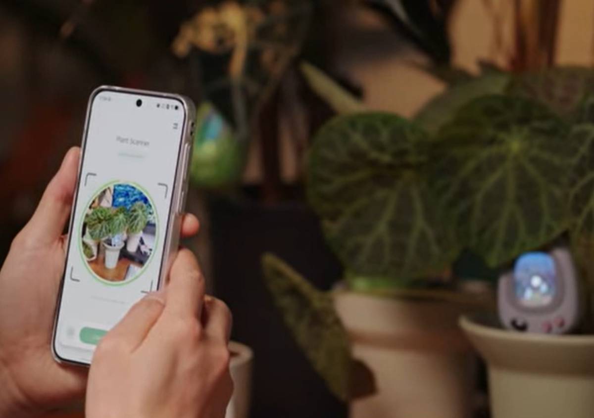 PlantSenso, il sensore smart che usa l’AI per prendersi cura delle piante PlantSenso, il sensore smart che usa l’AI per prendersi cura delle piante
