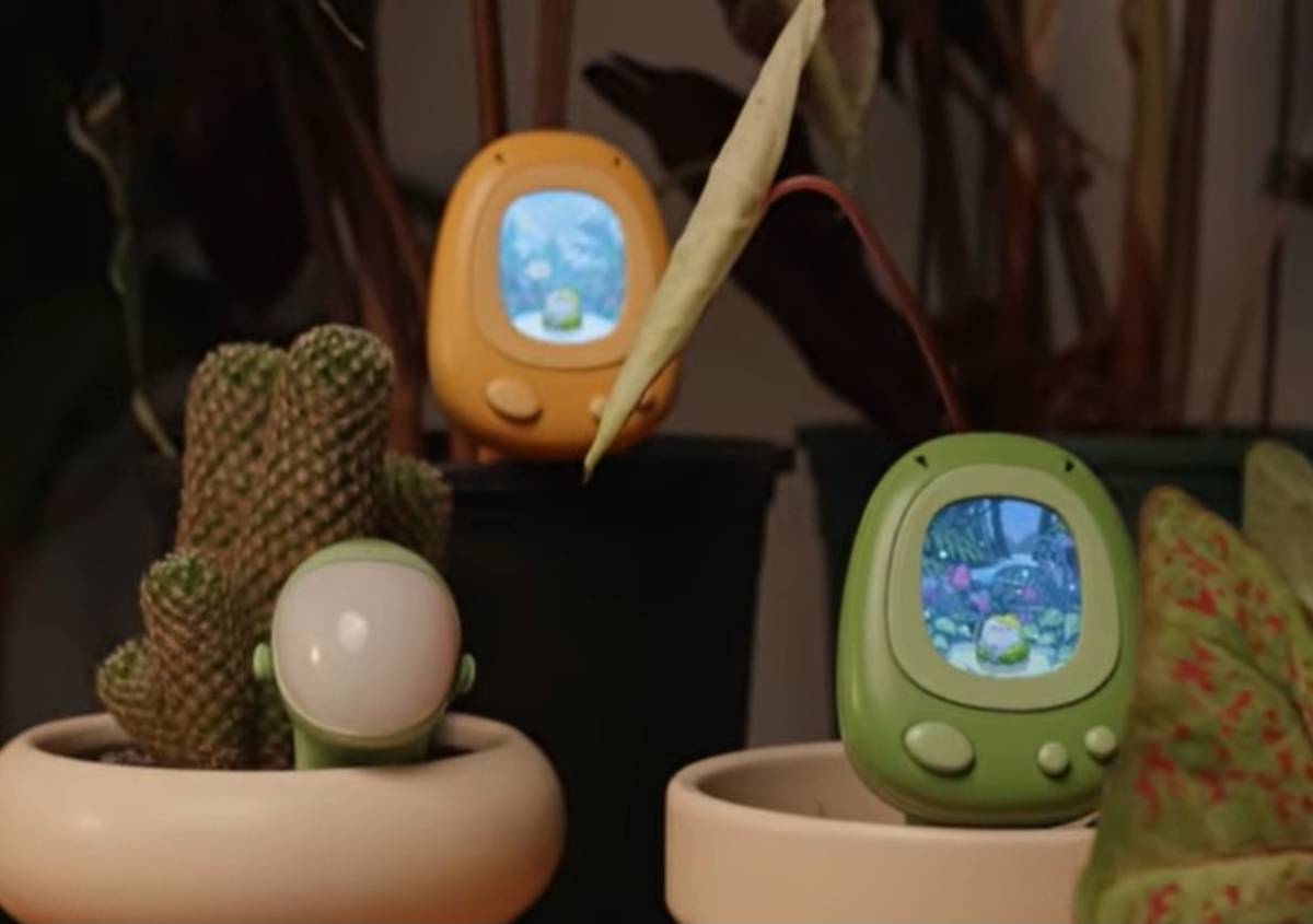 PlantSenso: come funziona il sensore smart per le piante PlantSenso: come funziona il sensore smart per le piante
